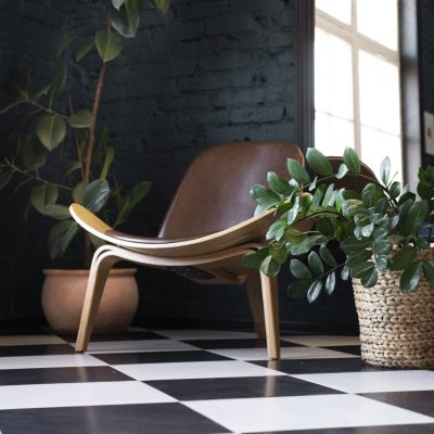 beautiful-modern-plants-deco